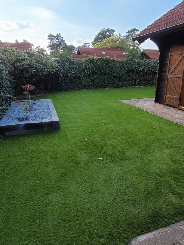 Fertilize Grass: How to Achieve a Lush, Green Lawn thumbnail